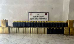 Mersin'de sahte zeytinyağı operasyonu