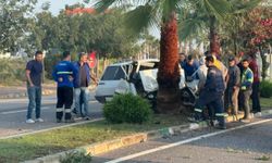 Adana'da ağaca çarpan otomobilin sürücüsü yaşamını yitirdi