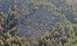 İzmir'de yangının çıktığı nokta olarak değerlendirilen bölge havadan görüntülendi