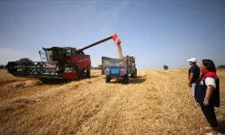 Çanakkale'de hasat saatlerine kısıtlama