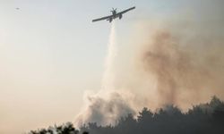 Çanakkale ve Uşak'ta orman yangınlarına müdahale sürüyor