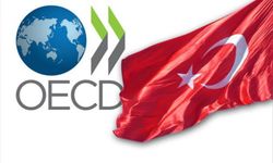 OECD ilan etti: Türkiye ilk sıraya yerleşti