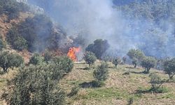 Mersin'de ormanlık alanda çıkan yangın kontrol altına alındı