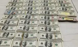 Televizyon içerisinde 340 bin dolar! Gümrükte ele geçirildi