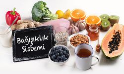 Bağışıklık sistemini güçlendiren besinler nelerdir?