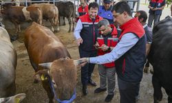 Kurban pazarlarında bayram hareketliliği başladı