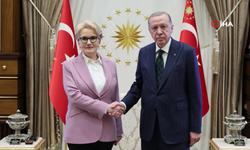 Cumhurbaşkanı Erdoğan ve Meral Akşener görüşmesi başladı