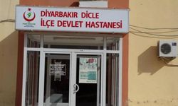 Diyarbakır'da başıboş köpeklerin saldırdığı 60 yaşındaki kadın yaralandı