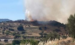 İzmir'in Bergama ilçesinde çıkan orman yangınına müdahale ediliyor