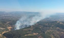 İzmir'in Bergama ilçesinde çıkan orman yangını kontrol altında