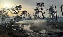 Çanakkale'nin ciğerleri yandı