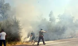 Selçuk'ta bir yangın daha: İlk müdahaleyi vatandaşlar yaptı