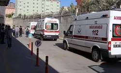 Siirt'te 'hayvan otlatma' kavgası: 4 yaralı!