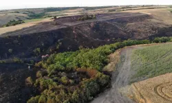 Silivri’de yangın: 30 dönümlük buğday tarlası yok oldu