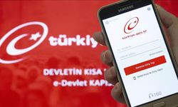 e-Devlet'e iki yeni hizmet eklendi! e-Devlet plaka güncelleme ve sıfırlama başvurusu nasıl yapılır?