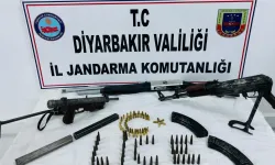 Diyarbakır’da 10 bin kök kenevir ele geçirildi