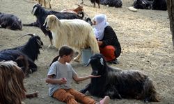 Muş'ta kadınların yayla mesaisi sürüyor