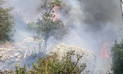 Bodrum'da makilik yangını! Müdahale ediliyor