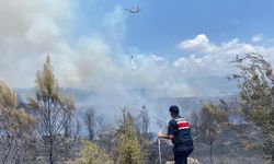 Antalya'da orman yangını