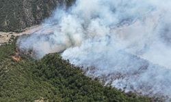 Karabük'te orman yangınının sebebi belli oldu