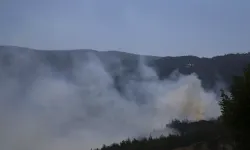 Hatay'ın Belen ilçesinde çıkan orman yangını kontrol altına alındı