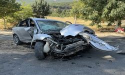 Kahramanmaraş'ta ağaca ve direğe çarpan otomobildeki 4 kişi yaralandı