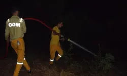 Kahramanmaraş'ta orman yangını söndürüldü