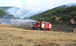 Tokat'ın Erbaa ilçesinde orman yangını