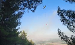 Antakya'da çıkan orman yangını kontrol altına alındı