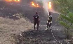 Karabük'te korkutan anız yangını! Kısa sürede söndürüldü