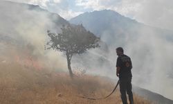 Hakkari’de anız yangını