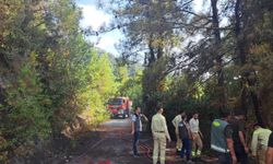 Hatay'da ormanlık alanda çıkan yangın söndürüldü