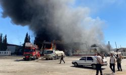 Manisa'da üzüm işleme tesisinde yangın çıktı