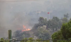 Aydın, Türk bayrağını alevlere teslim etmedi