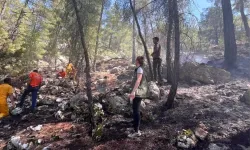 Burdur'da çıkan orman yangını söndürüldü