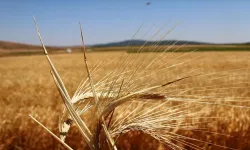 Bakan Yumaklı'dan 'destekleme' açıklaması