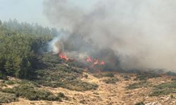 Hatay'da orman yangını! Alevlere havadan ve karadan müdahale ediliyor