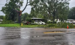 ABD’de etkili olan Debby Kasırgası'nın bilançosu: 4 ölü, 1 yaralı