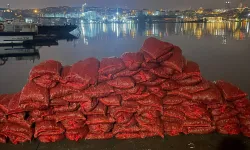 Eminönü'nde kaçak midye avlayan kişiye 26 bin lira ceza kesildi