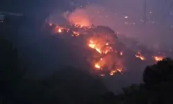 Antalya'da yıldırım yangına neden oldu