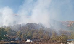 Tunceli'de orman yangınları söndürüldü