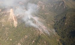 Hatay'da ormanlık alanda yangın çıktı