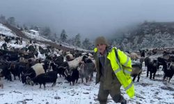 Giresun yaylalarına kar yağdı, çobanlar zorlu dönüş yolculuğuna çıktı