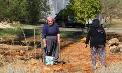 Evinin etrafını saran alevlere gözyaşları içinde hortumla müdahale etti