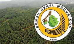 Orman genel müdürlüğü iddiaları yalanladı