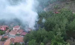 Amasya'da ormana bitişik 3 ev yangında kül oldu