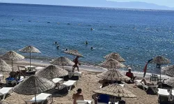 Bodrum'da 'sarı yaz' hareketliliği