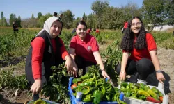 Meslek lisesi öğrencileri hem öğreniyor hem de kazanıyorlar