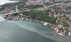 İstanbul Boğazı'na kanalizasyon suyu akıyor