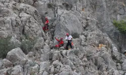 Adana'da keçilere kurtarma operasyonu düzenlendi, gerçek başka çıktı